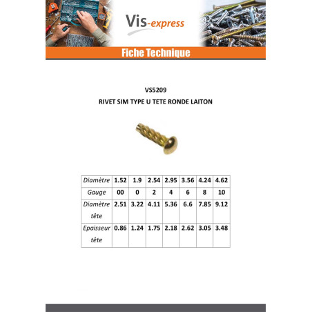 1 x Rivet SIM ou fausse vis à frapper Type U Tête ronde TR Acier laitonne 4.62X 3/8