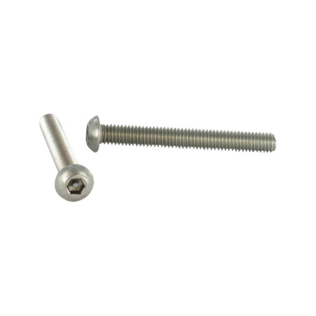 1 x Vis métaux Inviolable BHC (Tête Bombée Hexagonal creux) avec téton M3X10 Inox A2 microvis