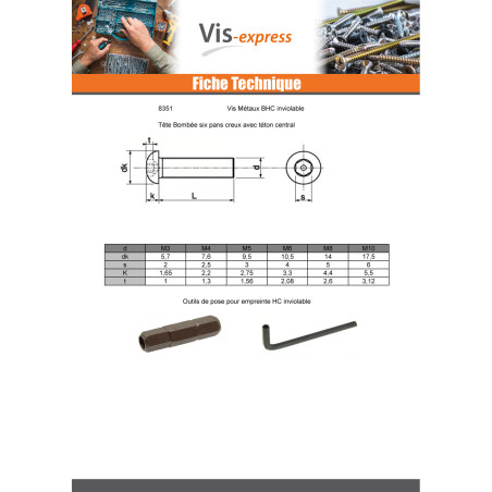 1 x Vis métaux Inviolable BHC (Tête Bombée Hexagonal creux) avec téton M6X16 Inox A2