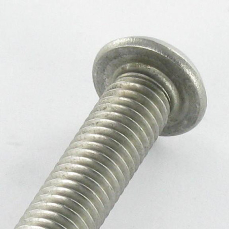 1 x Vis métaux Inviolable BHC (Tête Bombée Hexagonal creux) avec téton M5X25 Inox A2