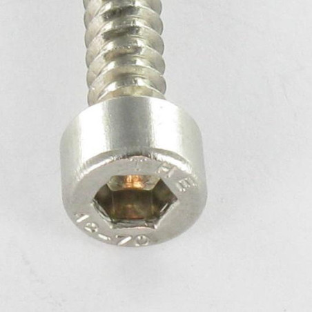 1 x Vis tôle CHC BTR Inox A2 4.8X38