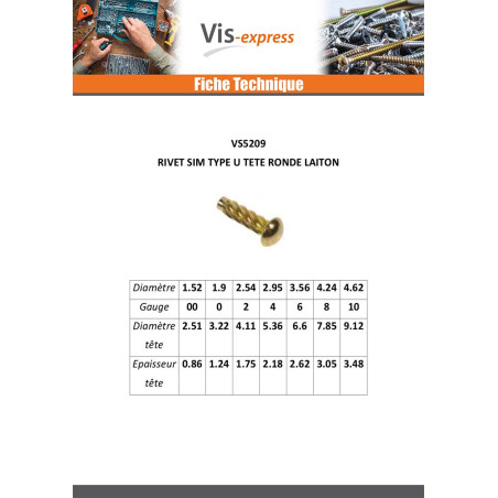 1 x Rivet SIM ou fausse vis à frapper Type U Tête ronde TR Acier laitonne 2.54X 1/8