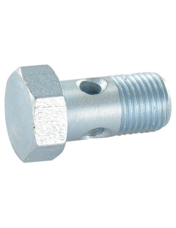 Vis creuse simple ou vis banjos Tête hexagonale TH M10X19 Pas fin Pas de 100 Acier zingué