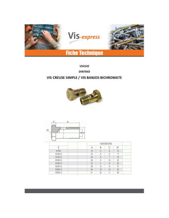 Vis creuse simple ou vis banjos Tête hexagonale TH M10X19 Pas fin Pas de 100 Acier zingué