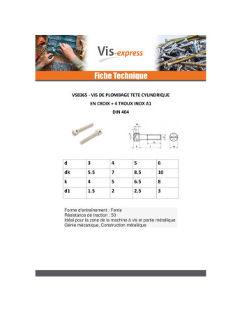 Vis métaux Tête cylindrique TC Percée En Croix 4 Trous Inox A1 5X10