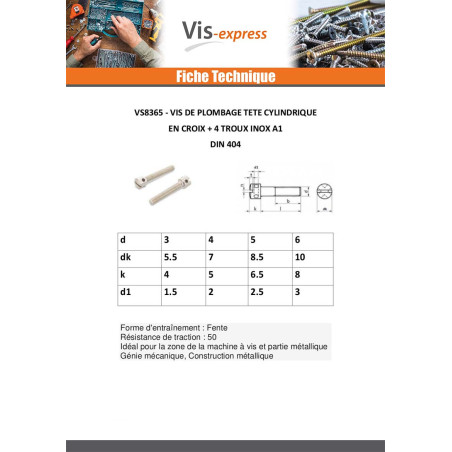 1 x Vis métaux Tête cylindrique TC Percée En Croix 4 Trous Inox A1 6X25