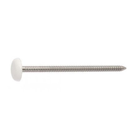1 x Pointe ANNELEE Tête PLASTIFIEE 2.1X30 Inox A4