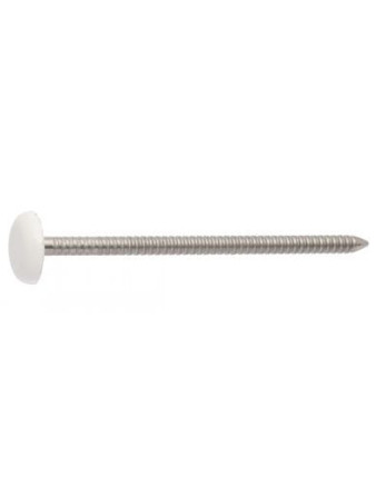 Pointe ANNELEE Tête PLASTIFIEE 2.5X50 Inox A4