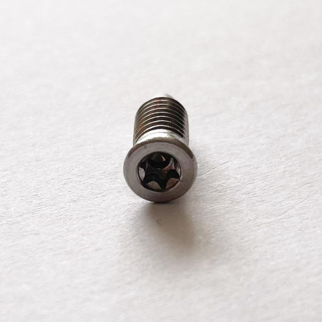 1 x Vis métaux Tête fraisée TORX T15 M5X13.5 Inox A2