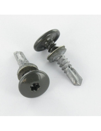 Vis autoperceuse Tête cylindrique bombée TCB TORX T25 5.5X26 +EPDM Bimétal RAL7022 gris tarre d'ombre