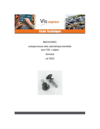 Vis autoperceuse Tête cylindrique bombée TCB TORX T25 5.5X26 +EPDM Bimétal RAL7022 gris tarre d'ombre