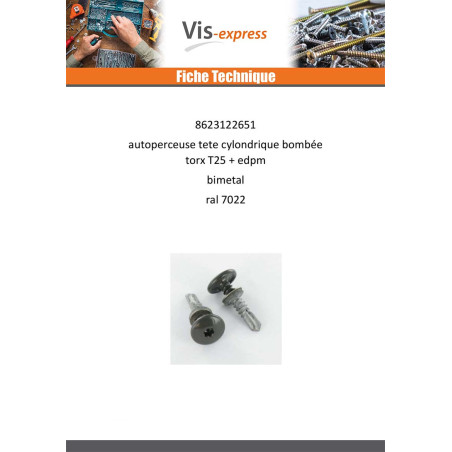 1 x Vis autoperceuse Tête cylindrique bombée TCB TORX T25 5.5X26 +EPDM Bimétal RAL7022 gris tarre d'ombre