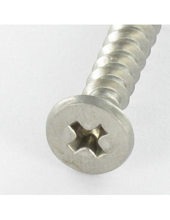Vis pvc Inox A2 Tête cylindrique TC Phillips 5X46