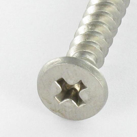 1 x Vis pvc Inox A2 Tête cylindrique TC Phillips 5X46