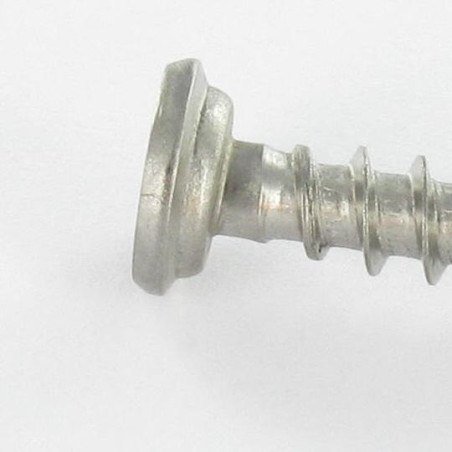 1 x Vis pvc Inox A2 Tête cylindrique TC Phillips 5X46