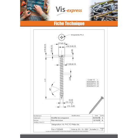 1 x Vis pvc Inox A2 Tête cylindrique TC Phillips 5X46