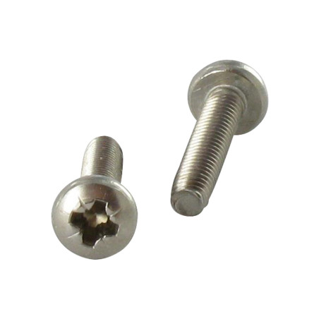 1 x Vis autotaraudeuse Tête cylindrique bombée TCB M6X25 Pozi N°3 Inox A2