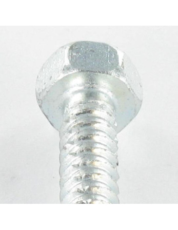 Vis tôle Autotaraudeuse Tête hexagonale TH 6.3X50 Inox A2