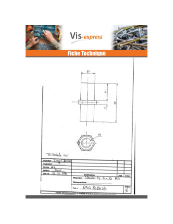Douille Hexagonal Bichromaté 8X20 M5 Sur plat 8
