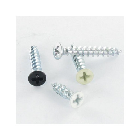 1 x Vis pvc Inox A2 Tête fraisée bombée TFB Phillips 4.2X25 Laqué noir RAL9005 noir foncé