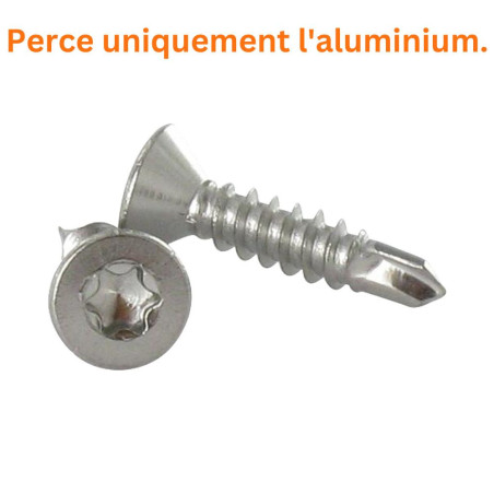 1 x Vis autoperceuse Inox A2 Tête fraisée 4.8X19 TORX T25