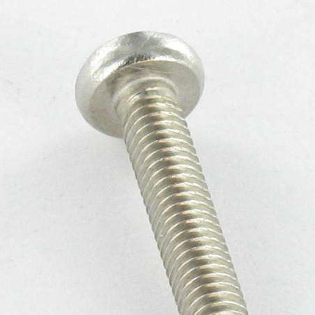 1 x Vis autotaraudeuse Tête cylindrique bombée TCB M5X8 Pozi N°2 Inox A2