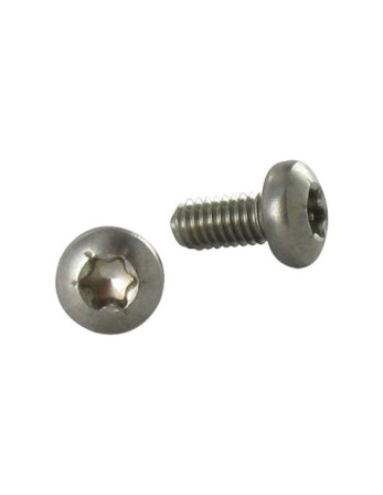 Vis autotaraudeuse Inox A2 Tête cylindrique bombée TCB TORX 4X8 TORX T20