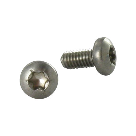 1 x Vis autotaraudeuse Inox A2 Tête cylindrique bombée TCB TORX 4X8 TORX T20