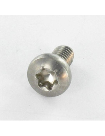 Vis autotaraudeuse Inox A2 Tête cylindrique bombée TCB TORX 4X8 TORX T20