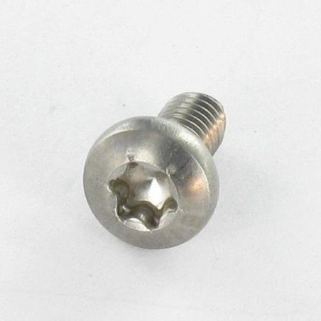 1 x Vis autotaraudeuse Inox A2 Tête cylindrique bombée TCB TORX 4X8 TORX T20