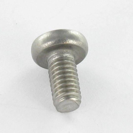 1 x Vis autotaraudeuse Inox A2 Tête cylindrique bombée TCB TORX 4X8 TORX T20