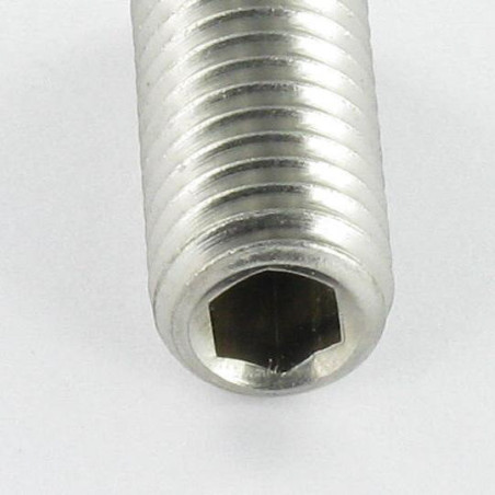 1 x Vis métaux Inox A2 Sans tête six pans creux (sthc) Clé de 4 HC4 M8X45 Bout plat
