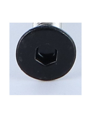 Vis métaux Inox A2 FHC tête fraisée empreinte hexagonale creuse Clé de 4 HC4 M6X40 RAL9005 noir foncé 30% BRIL