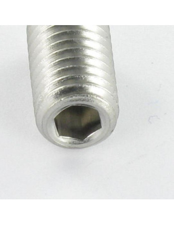 Vis métaux Inox A2 Sans tête six pans creux (sthc) Clé de 5 HC5 M10X12 Bout pointeau