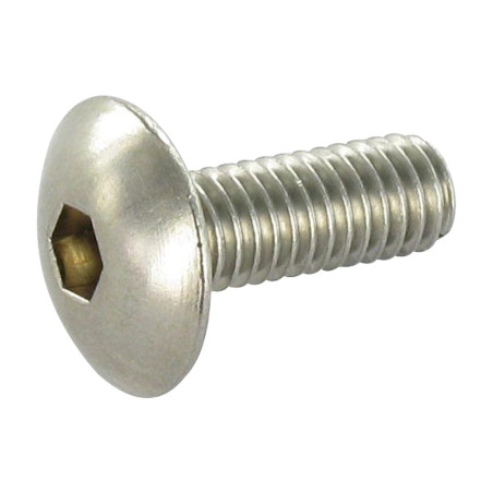 1 x Vis métaux Poelier Clé de 4 HC4 M6X20 Inox