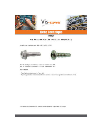 Vis autoperceuse Tête hexagonale TH 4.8X25 Inox AISI 410