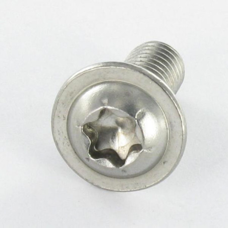 1 x Vis métaux Tête bombée Embase collerette TORX T25 M5X80 Filetage total Inox A2