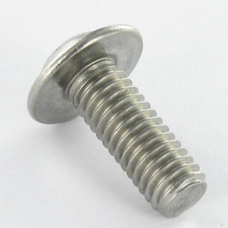 1 x Vis métaux Tête bombée Embase collerette TORX T30 M6X75 Filetage total Inox A2