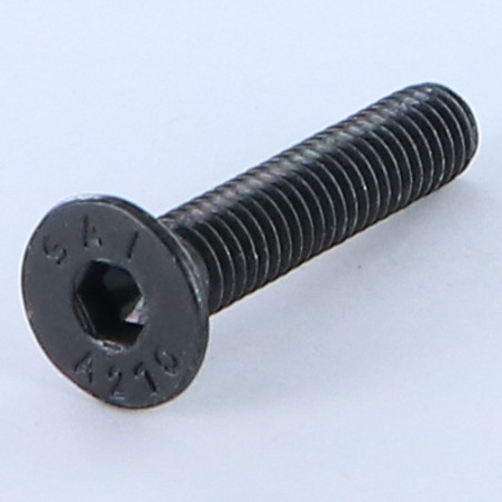 1 x Vis métaux Inox A2 FHC tête fraisée empreinte hexagonale creuse Clé de 4 HC4 M6X30 Noir Filetage total