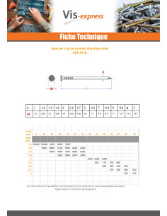 Kg de pointes Acier brut Tête plate 1.8X30 2