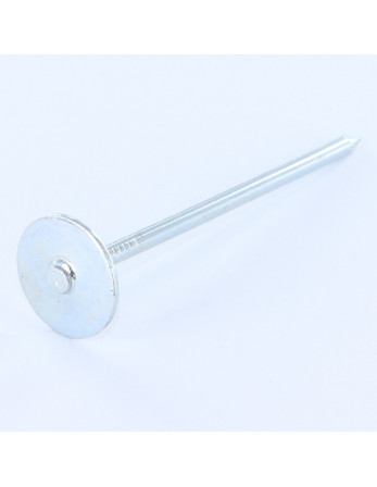 Kg de pointes Embase collerette ronde Diamètre de tête: 20 Acier zingué 3.1X50