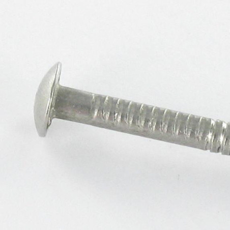 1 x Kg de pointes Inox A2 Tête ronde TR ANNELEE 2.3X35