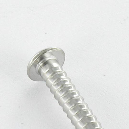 1 x Kg de pointes Inox A4 Tête ronde TR ANNELEE 2.5X50