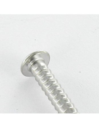 Kg de pointes Inox A4 Tête ronde TR ANNELEE 2.5X60