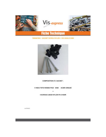 Sachet De 4 Vis Tête cylindrique TC 5X60 Avec 4 Ecrou Nylon