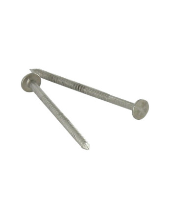 Kg de pointes Anneau Tête plate 30 Diamètre 2.3 Inox A2
