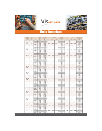 Filet rapporté M10X10 Pas de 150 Inox