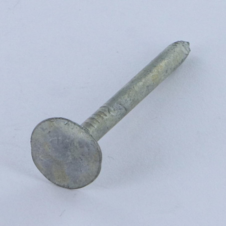 1 x Kg de pointes ARDOISE Tête extra large TEL 3X25 Diamètre de tête: 12 Forte tenue à la corrosion Acier galvanisé