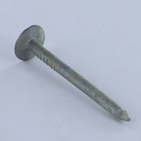 1 x Kg de pointes ARDOISE Tête extra large TEL 3.5X50 Diamètre de tête: 13.5 Forte tenue à la corrosion Acier