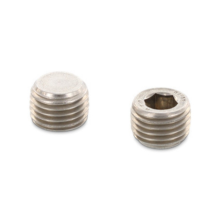 1 x Bouchon mâle hexagonal creux à visser Clé de 22 1/4 18X25.2 Inox A2